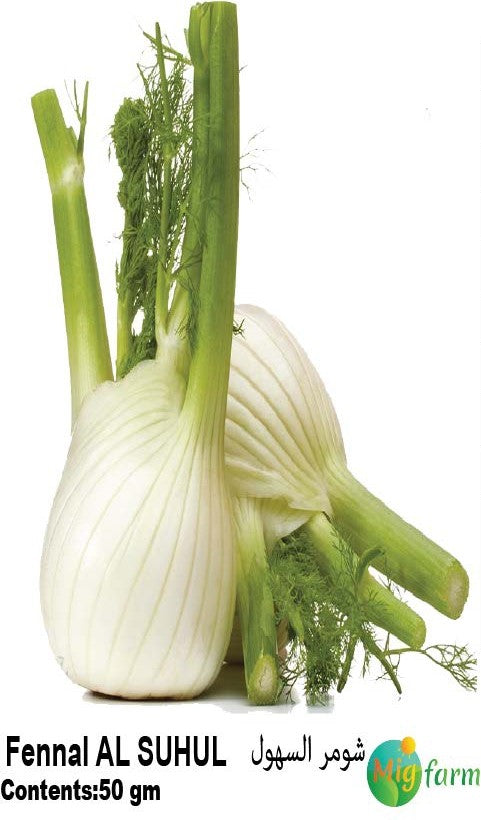 شمر السهول (FENNEL ALSUHOOL)