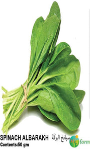 SPINCH ALBARAKH 50GM