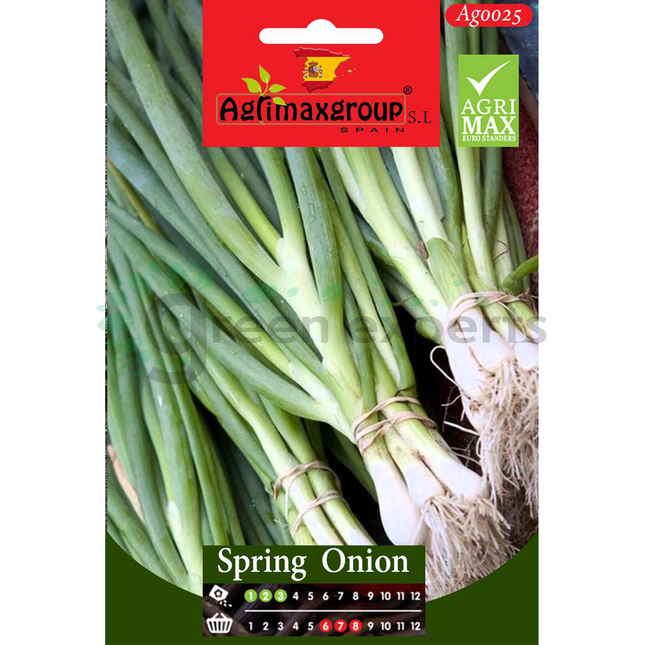 Spring Onion Seed